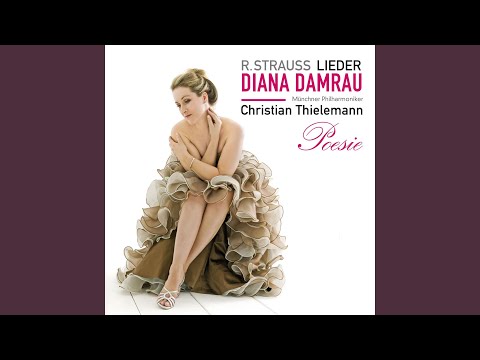 5 Lieder, Op. 48: No. 1, Freundliche Vision