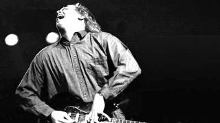 Jeff Healey Tore Down