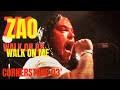 Zao: Walk On By, Walk On Me (The Pianist Prophecy): Cornerstone 2003, Bushnell IL (2003)