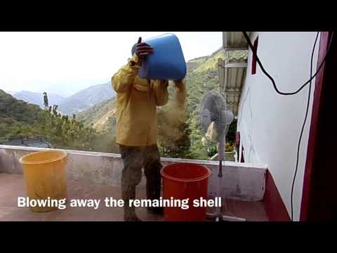 From bean to cup in Colombia - How to make coffee the artisanal way