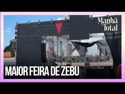 Expozebu 2024: a maior feira de zebu do mundo começa em Uberaba | Manhã Total