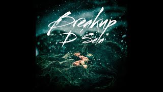 D' Sela - Breakup (Official Lyric Video)