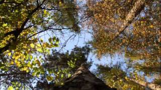 Deine Lakaien - Along our Road