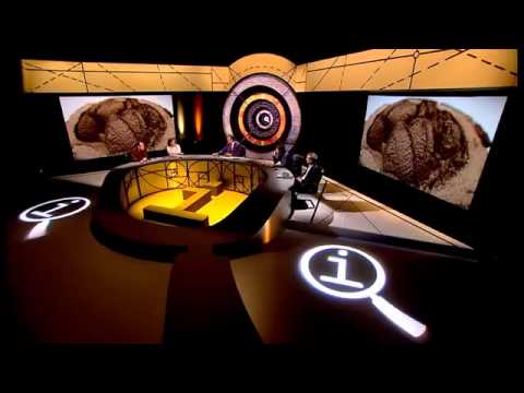 QI XL Series 9 Episode 3 - Imbroglio