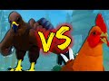 The Eagles VS The Chickens... Feather Family RP Experience