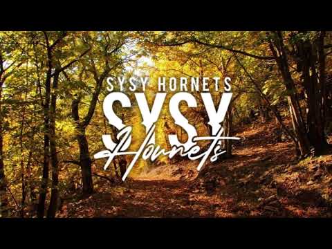 SYSY FT. BLACKFLAYS - MEILLEURE AMIE (HORNETS REMIX) ZOUK 2021