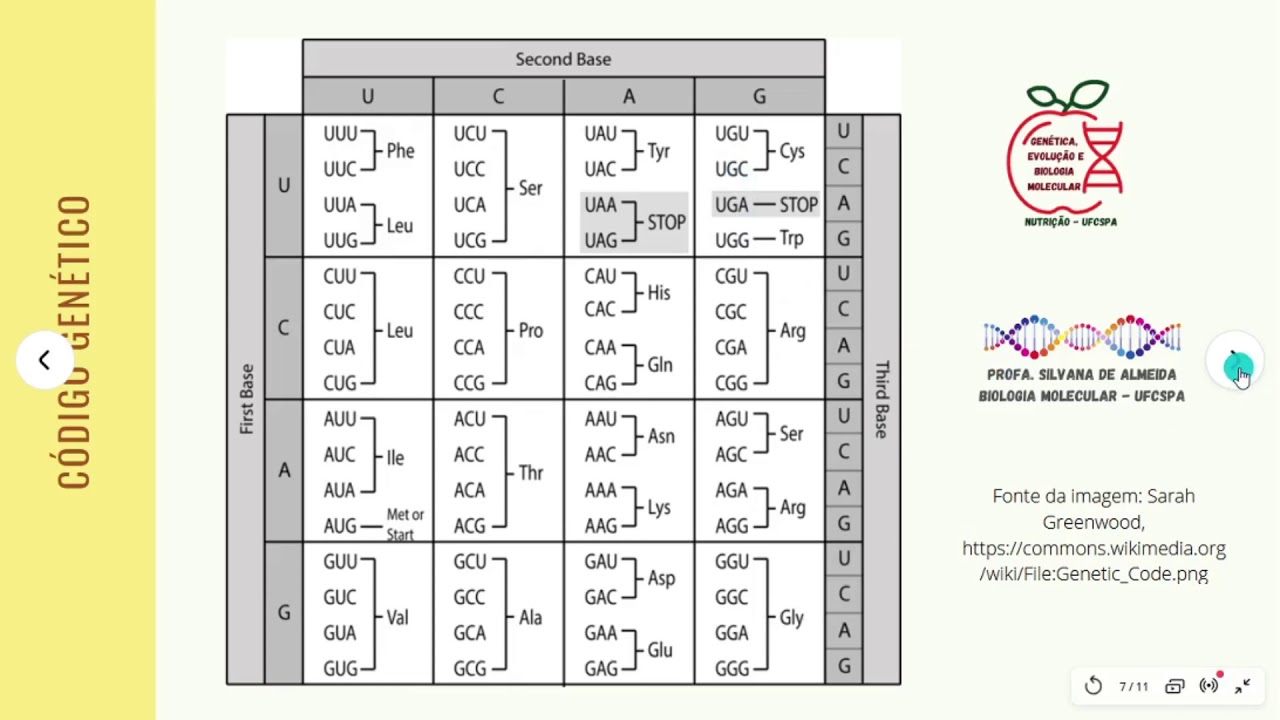 Aula sobre síntese de proteínas ou tradução
