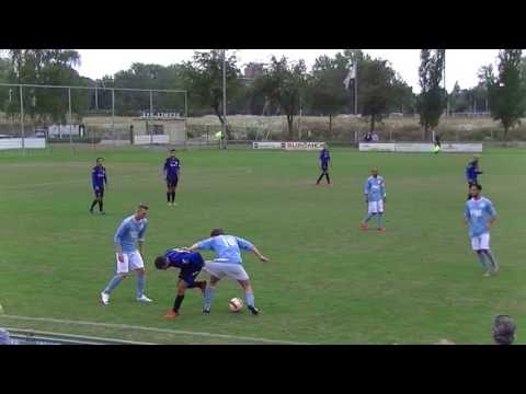 Samenvatting Hermes DVS 1 -  DHZ 1