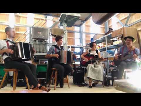 Die Vierhofer - Im Föhnwind (S. & V. Avsenik) #live #cover