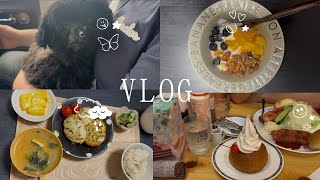 同棲二人暮らしと犬一匹生活🐶コメダに行った日