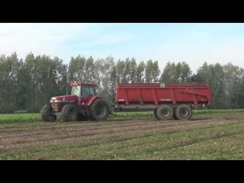Loonw. Baute - Oostwinkel - bieten rooien - Vervaet