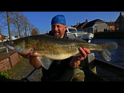 Matze Koch: Free-roaming...er, zander? - Part 2 - Matze's Antics 02-2020