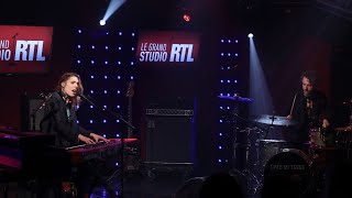 Cats on trees - Sirens call (LIVE) Grand Studio RTL