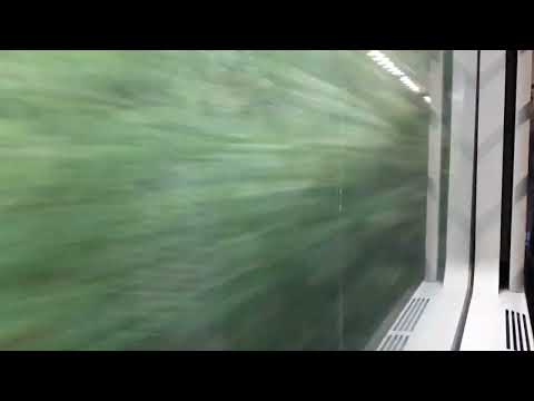 A bordo dell'IC 701. Tra Sicignano e le gole del Marmo - Platano