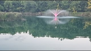 Carrasco Ranch is live Feeding Big Catfish