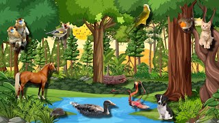 ?????? PEQUEÑOS ANIMALES LINDOS - CABALLO, GATO, PATO, PERRO, CONEJO, SERPIENTE, POLLO - MDA.