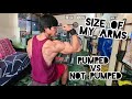 MEASURING MY ARMS | AM I THAT BIG | NEW EQUIPMENTS