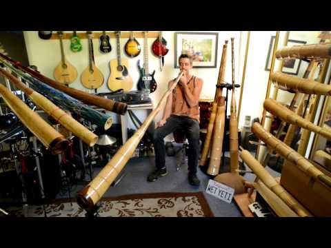 Agave/Bamboo Hybrid Multidrone Didgeridoo by Mob