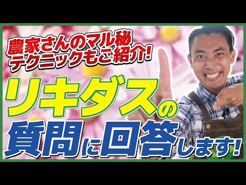 リキダンバーについて詳しく解説