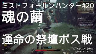 【Mistfall Hunter】魂の繭運命の祭壇ボス戦　20