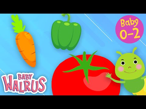 Meine ersten Worte #4 | Gemüse | Lernserien für Babys 0-2