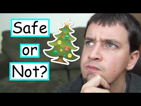 Are Christmas Trees Safe For Cats?