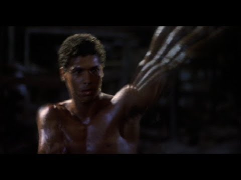 The Last Dragon Tribute