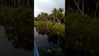 preview picture of video 'Kelapa pulau burung , Inhil, Riau... Begitu indah di pandang..'