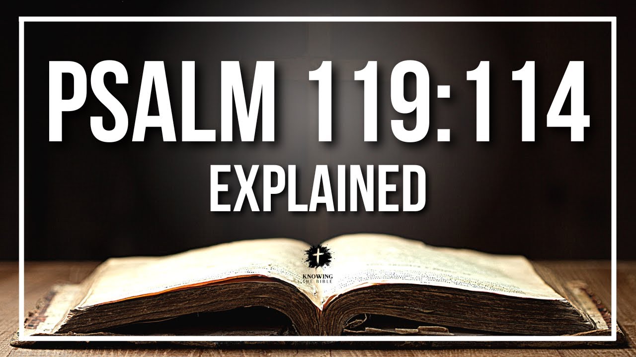 PSALM 119:114 Explained - What Does The Bible Verse PSALM 119:114 [KJV] REALLY Mean?
