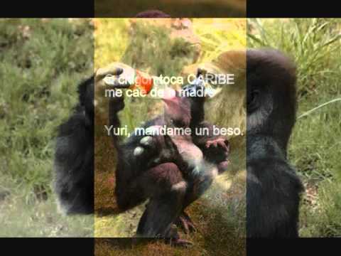 Super Grupo Caribe (Oso Polar)