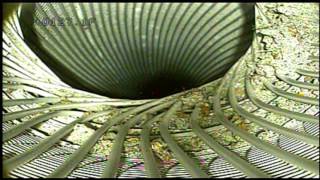 bore hole video camera