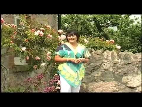 Luk Thung (Irish Style) - Lovely Leitrim Shore - Bonnie Stewart