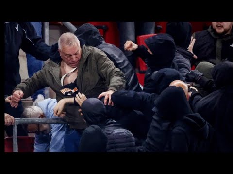 West Ham legend KNOLLSY vs AZ ALKMAAR fans #westhamunited #azalkmaar