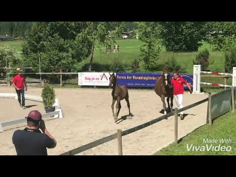 Kreuzerhof-Ludwig MB-Sold