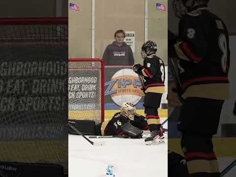 The ice hockey goalie’s save was spectacular!#hockey #nhl #goalie  #usa