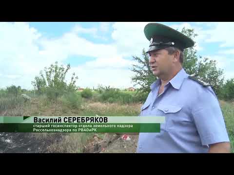 Захламление земельного участка бытовыми отходами установлено Управлением Россельхознадзора на территории Ростовской области