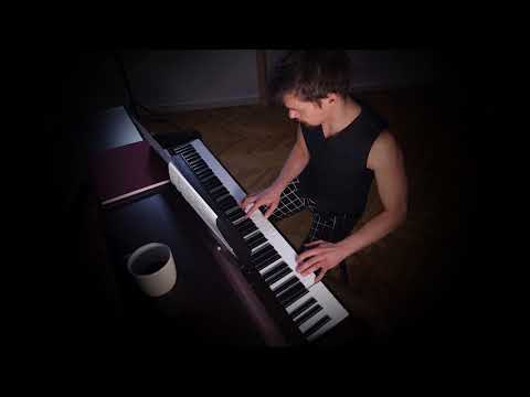 Jürgen Moser - The groover