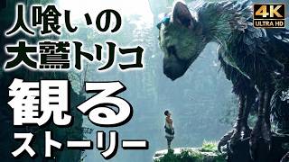 【観るゲーム】人喰いの大鷲トリコ【映画風ストーリー】日本語字幕 PS5 4K録画 The Last Guardian