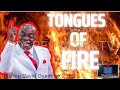TONGUES OF FIRE I BISHOP OYEDEPO I HOT PRAYERS