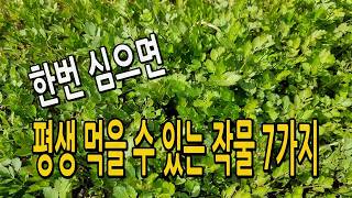 한번 심으면 평생 먹을 수 있는 텃밭 작물 7가지 소개합니다.
