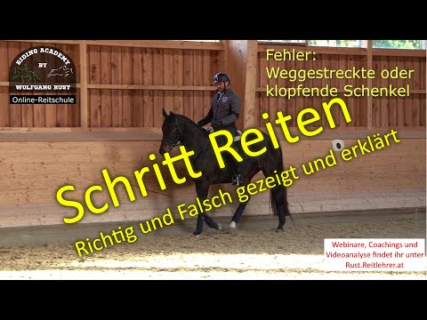 F82 Walking: Criteria, most common mistakes, reasons for pace, grumpy, driven and firm horses