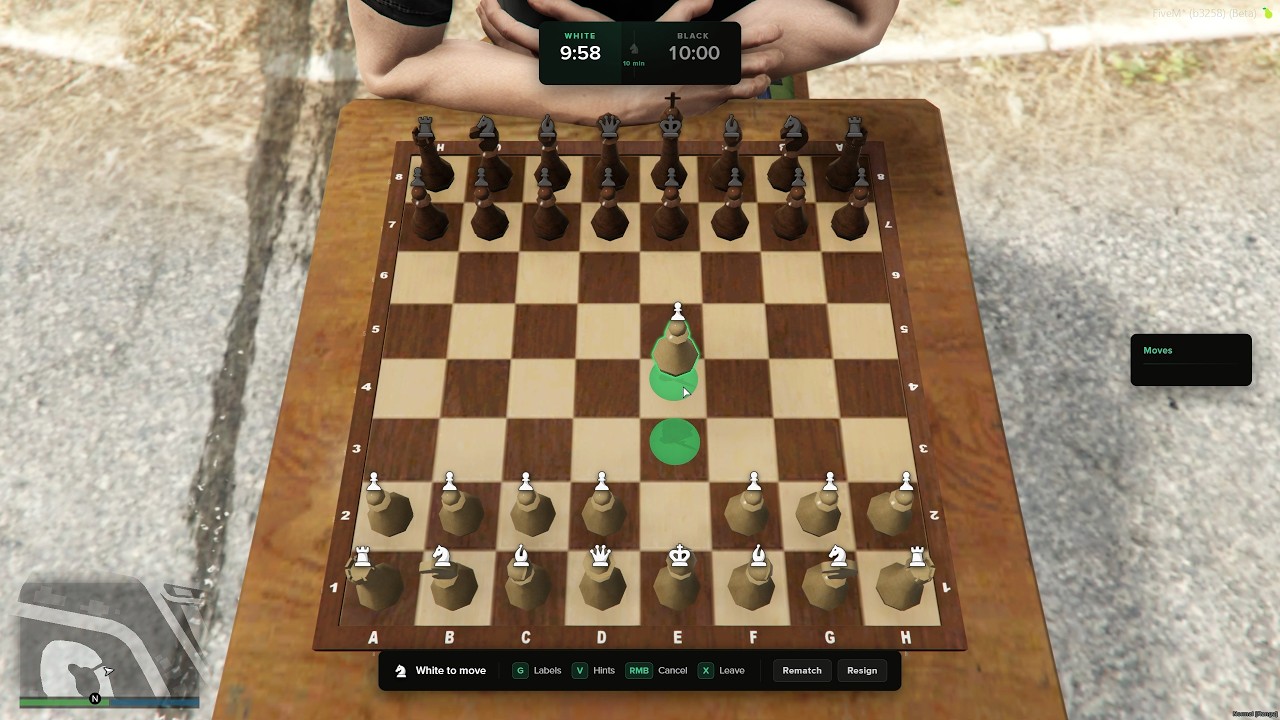 图片[2]-STG国际象棋v2 - FiveM插件网-FiveM插件网