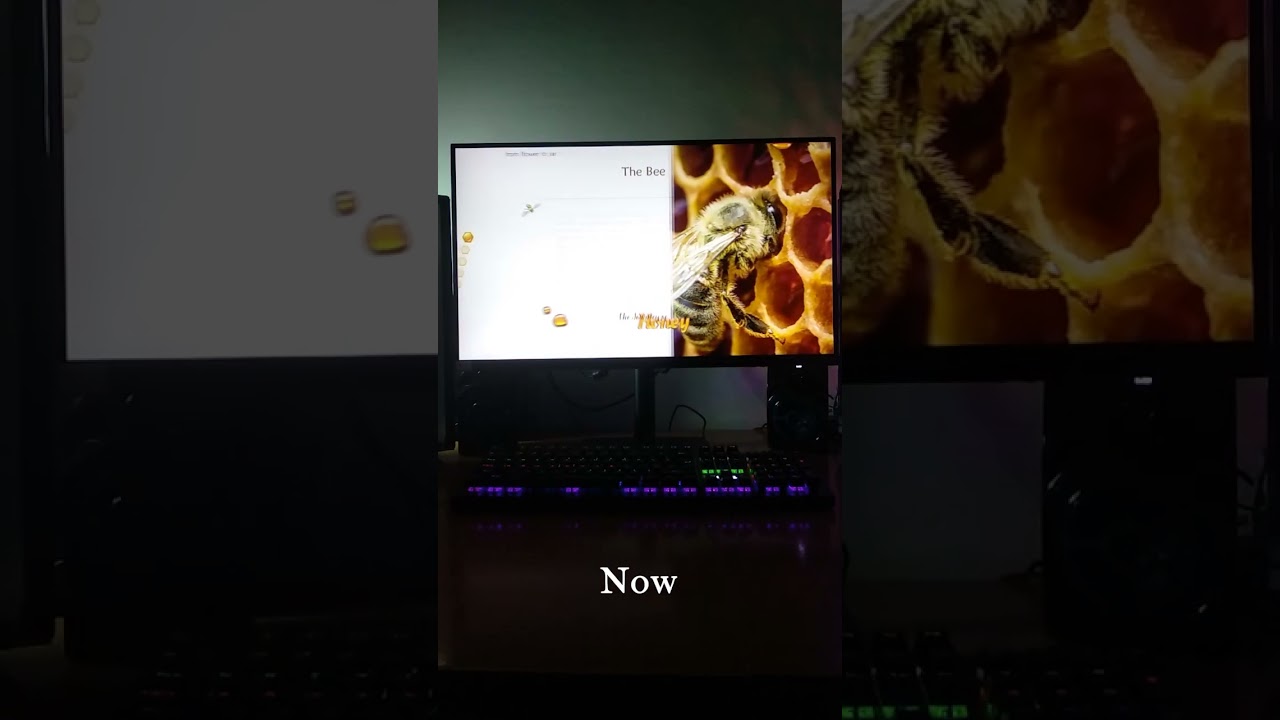 The journey of Honey 🍯 Powerpoint presentation