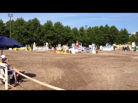 Vilma Catani -Walk - On (Tangelo vd Zuuthoeve - Burggraaf)