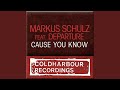 Cause U Know (Nic Chagall Remix)