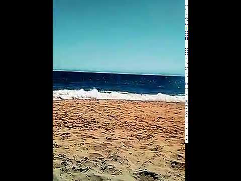 + AMONG THEM ALL WAS FOUND NONE LIKE DANIEL, HANANIAH, MISHAEL, AND AZARIAH