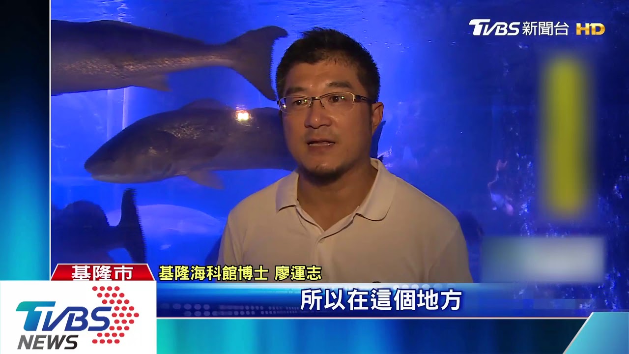 龍虎斑入侵保護區 海科館啟動「獵龍行動」