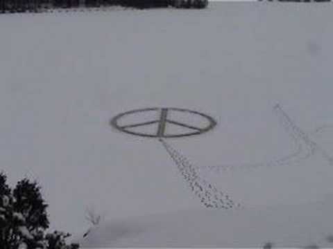 Cold Calculated Peace ... Light of Day