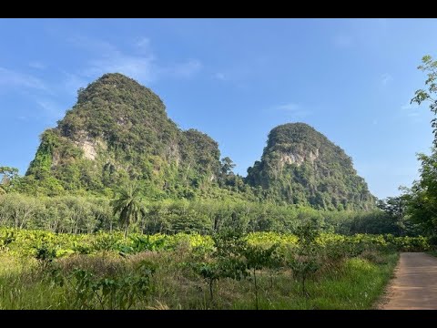 4.5 rai of land with wonderful mountain view for sale in Nong Thaley, Krabi