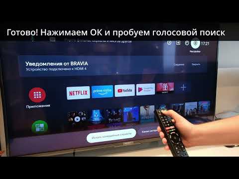 Пульт Sony RMF-TX300E для телевизора Sony c голосовым управлением - фото 1 - id-p2217426813